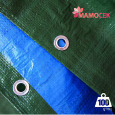 Telo occhiellato 3x4m 100gr/mq